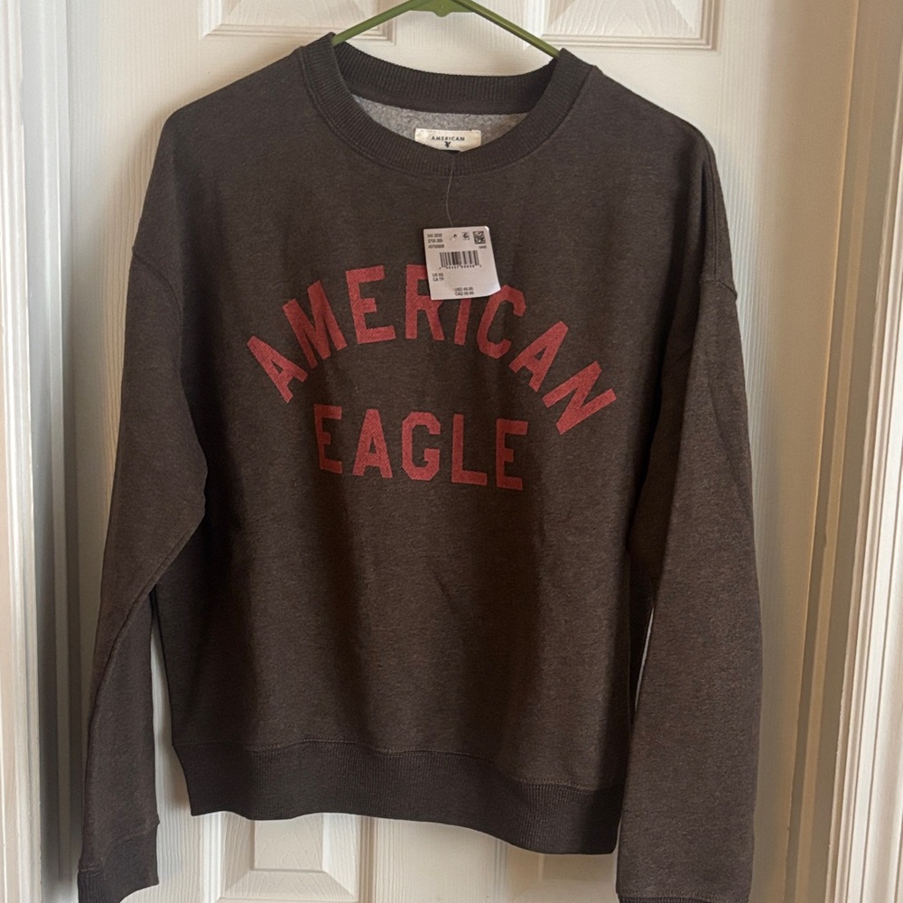 American Eagle Outfitters Brown Sweater